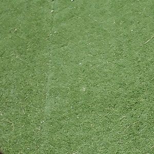 Meet your Posher, Lin